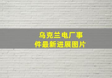 乌克兰电厂事件最新进展图片