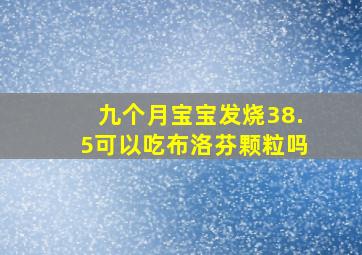 九个月宝宝发烧38.5可以吃布洛芬颗粒吗