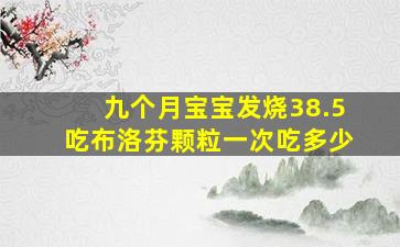 九个月宝宝发烧38.5吃布洛芬颗粒一次吃多少