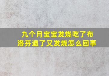 九个月宝宝发烧吃了布洛芬退了又发烧怎么回事