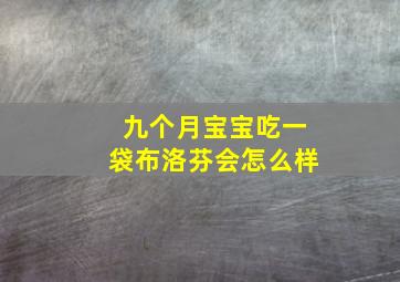 九个月宝宝吃一袋布洛芬会怎么样