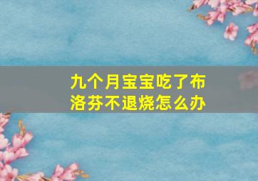 九个月宝宝吃了布洛芬不退烧怎么办