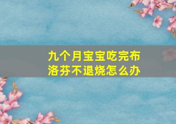 九个月宝宝吃完布洛芬不退烧怎么办