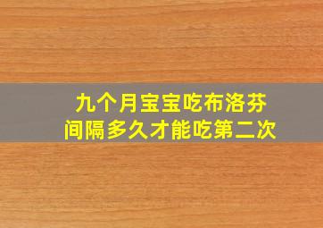 九个月宝宝吃布洛芬间隔多久才能吃第二次