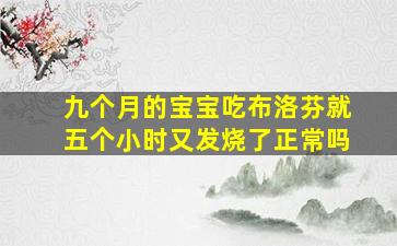 九个月的宝宝吃布洛芬就五个小时又发烧了正常吗