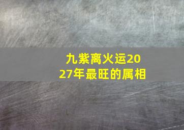 九紫离火运2027年最旺的属相