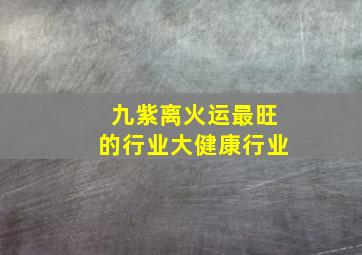 九紫离火运最旺的行业大健康行业