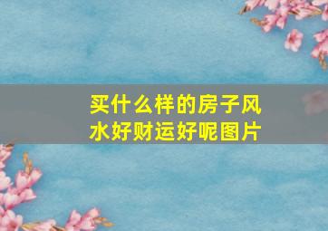 买什么样的房子风水好财运好呢图片