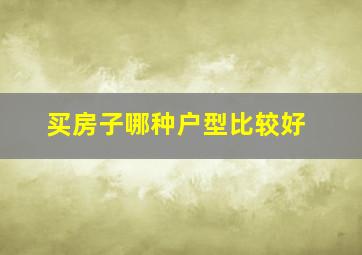 买房子哪种户型比较好