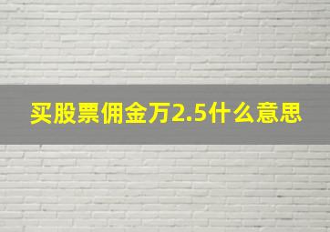 买股票佣金万2.5什么意思