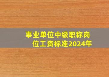 事业单位中级职称岗位工资标准2024年