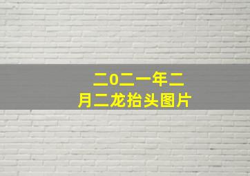 二0二一年二月二龙抬头图片