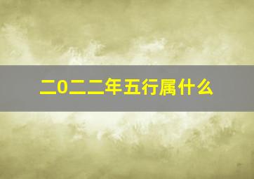 二0二二年五行属什么