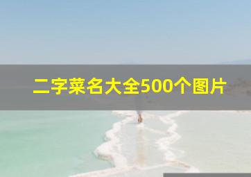 二字菜名大全500个图片