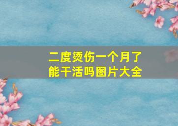 二度烫伤一个月了能干活吗图片大全