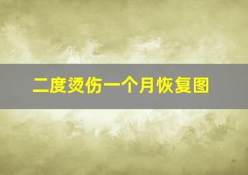 二度烫伤一个月恢复图