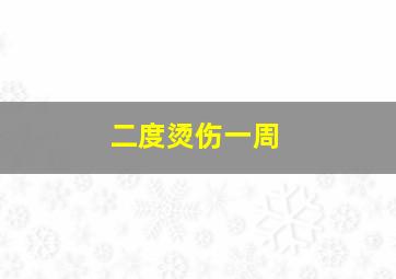 二度烫伤一周