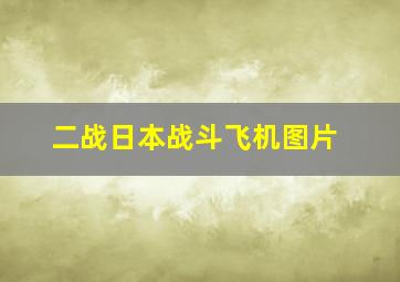 二战日本战斗飞机图片