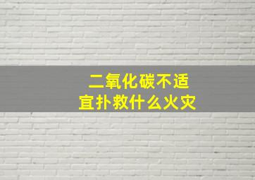 二氧化碳不适宜扑救什么火灾