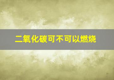 二氧化碳可不可以燃烧