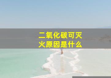 二氧化碳可灭火原因是什么