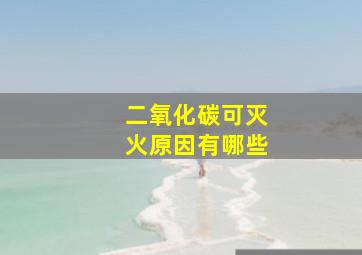 二氧化碳可灭火原因有哪些