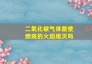 二氧化碳气体能使燃烧的火焰熄灭吗