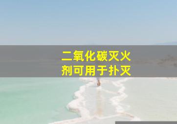 二氧化碳灭火剂可用于扑灭