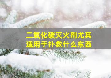 二氧化碳灭火剂尤其适用于扑救什么东西