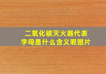 二氧化碳灭火器代表字母是什么含义呢图片