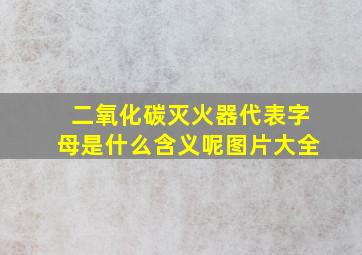 二氧化碳灭火器代表字母是什么含义呢图片大全