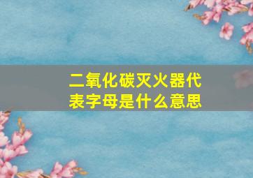 二氧化碳灭火器代表字母是什么意思