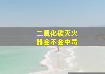 二氧化碳灭火器会不会中毒