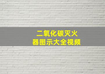 二氧化碳灭火器图示大全视频