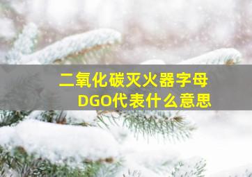 二氧化碳灭火器字母DGO代表什么意思