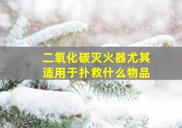 二氧化碳灭火器尤其适用于扑救什么物品