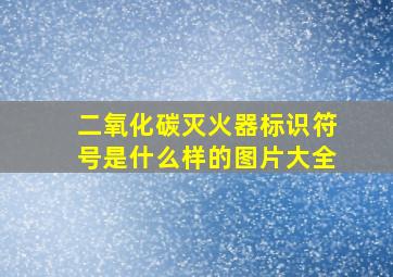 二氧化碳灭火器标识符号是什么样的图片大全