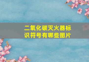 二氧化碳灭火器标识符号有哪些图片