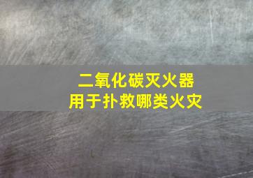 二氧化碳灭火器用于扑救哪类火灾