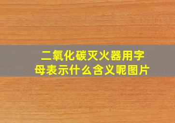 二氧化碳灭火器用字母表示什么含义呢图片