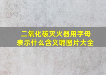 二氧化碳灭火器用字母表示什么含义呢图片大全