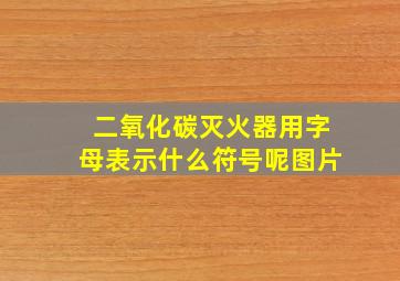 二氧化碳灭火器用字母表示什么符号呢图片