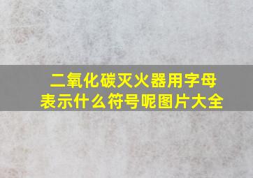 二氧化碳灭火器用字母表示什么符号呢图片大全