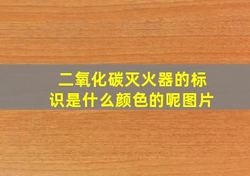 二氧化碳灭火器的标识是什么颜色的呢图片