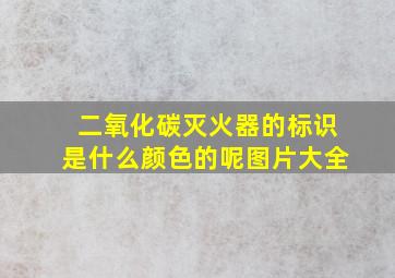 二氧化碳灭火器的标识是什么颜色的呢图片大全