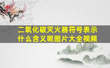 二氧化碳灭火器符号表示什么含义呢图片大全视频