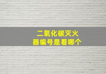 二氧化碳灭火器编号是看哪个