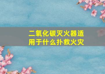 二氧化碳灭火器适用于什么扑救火灾