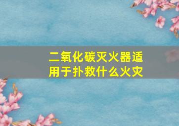 二氧化碳灭火器适用于扑救什么火灾