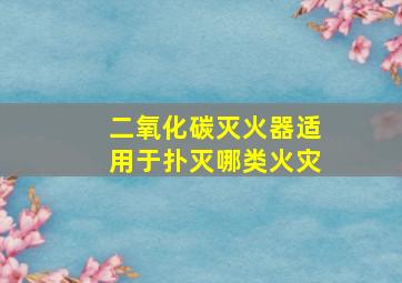 二氧化碳灭火器适用于扑灭哪类火灾